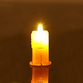 Trail Lite Bean Lamp