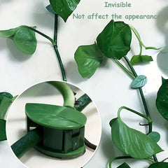 Plant Climbing Wall Clip, Self-Adhesive Vines Support Hooks for Indoor Outdoor Use (10 Pcs Set)