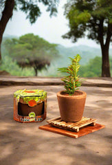 More Oxygen by Tree for Life