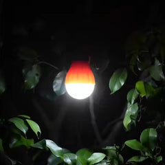 AquaLite Lantern