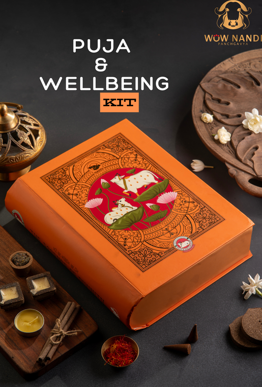 Puja and Wellness Home Kit