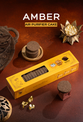 Air Purifier Cake