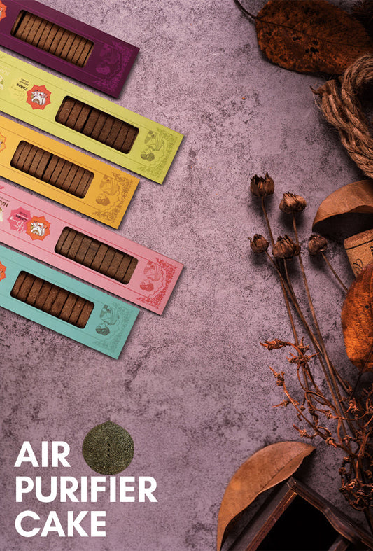 Air Purifier Cake
